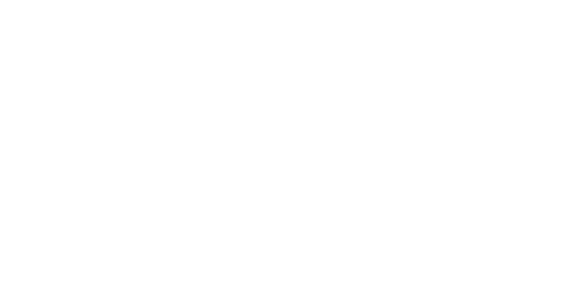 Schmidt & Bender