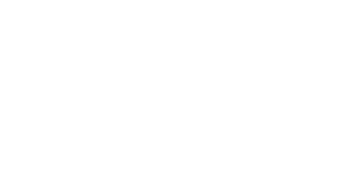 Hikmicro