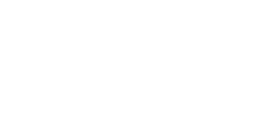 Noblex